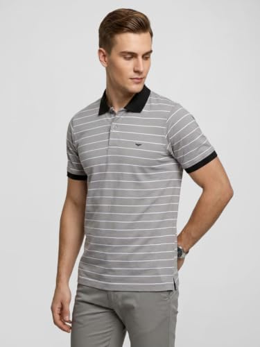 Image of Park Avenue Men Slim Fit Stripe Pattern Pure Cotton Polo Neck Half Sleeve Casual T-Shirt