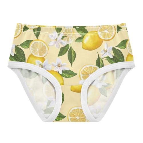ZZKKO Lemon Flower Leaves Girls Underwear Toddler Panties for Girls Comfort Brief Size 2-8T