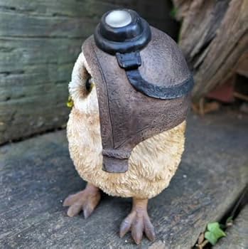 Amazon.co.jp: フクロウの置物 ゴーグルふくろう 帽子