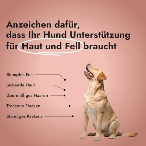 Petstile Super Skin & Coat – Natürliches Supplement für Hunde mit Fischkollagen, Leinsamen & Fischöl – unterstützt Haut, Fell, Regeneration & reduziert Entzündungen