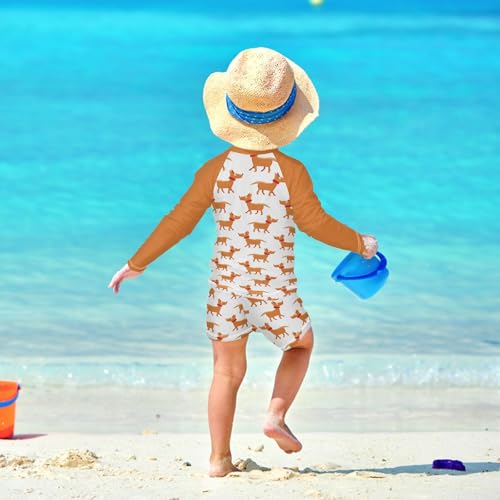 Boys Rash Guard Set Funny Dog Piece UP50+ Swim Set for Boys 3T-10T3