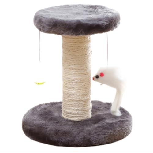 Vlfn VRL^[ ^p_ufbLLWv ybgt LANeBreBZ^[ ̒łSI4FWJE{̍21cm O[