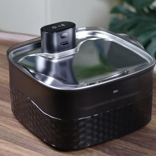 Fontaine à eau pour chats transparente dans le salon avec port USB discret