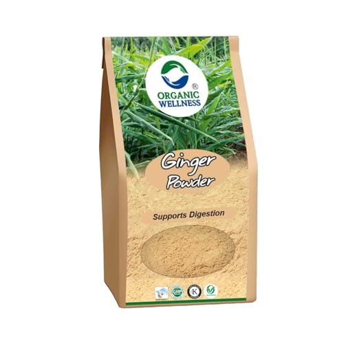 Image of Organic Wellness Ginger Powder 75 grams Dry Ginger Powder /Adrak Powder