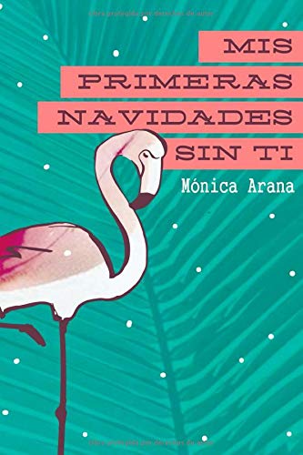 Mis primeras Navidades sin ti: Carolina en Miami (Las historias de Carolina)