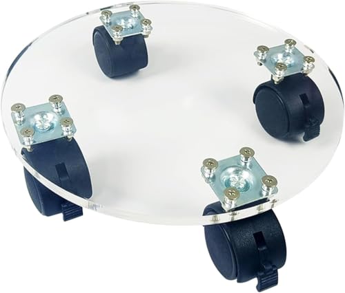 ACUOPNK LX^[tAؔ[OX^hAAgCAAؔx[XA360x]AÉA~@\t (20CM) [sAi]