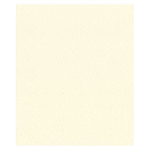 エスケント 色画用紙 スターウェーブ 四切 クリームイエロー 50枚 5504809