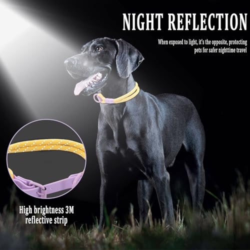 Beowanzk Hundehalsband, reflektierendes Hundehalsband, Supreme mit weichem & starkem Nylon, Hundehalsbänder für kleine, mittelgroße Hunde (Lila-Gelb, M)