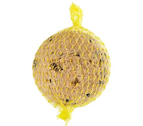 Dehner Natura Wildvogelfutter | Meisenknödel mit Netz | energiereiches Premium Ganzjahresfutter | mit Nüssen | Fettfutter für Meisen und Rotkehlchen |100 Stück | 10 kg