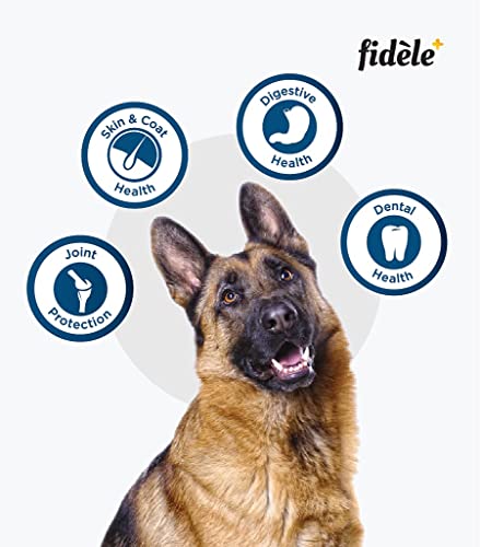Image of Fidele+ Adult Large Breed Dog Food | 900g | Glucosamine for Joint Support | Omega 3 & 6 | High Protein | Muscle Strength & Coat Health