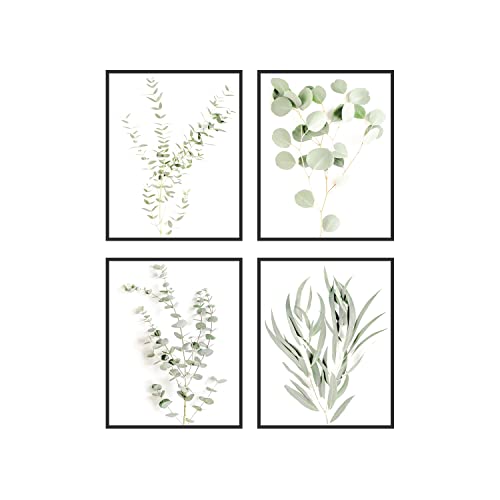 Image of Haus and Hues Botanical Plant Wall Art Prints - Set of 4 Plant Wall Decor Prints, Floral Kitchen Plant Pictures, Flower Leaves Wall Art, Boho Leaf Eucalyptus Wall Décor