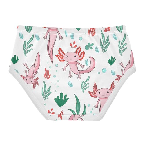 Cute Axolotls Toddler Girls's Underwear 2T 202c12712