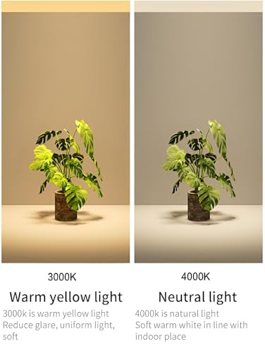 Image of FILLISKA Aluminium 10 Watt Led Surface Linea Lazer Spot Light, Matt Black Finish, Shockproof Alluminium Body & Antiglare Diffuser (Natural White)