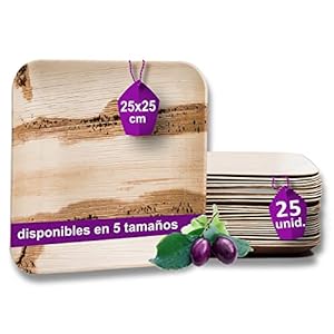 Waipur Platos Hoja de Palma Orgánicos – 25 Platos Desechables Cuadrados 25×25 cm – Vajilla Ecológica de Lujo, Estable, Natural y Biodegradable – Platos de Fiesta – Platos de Boda