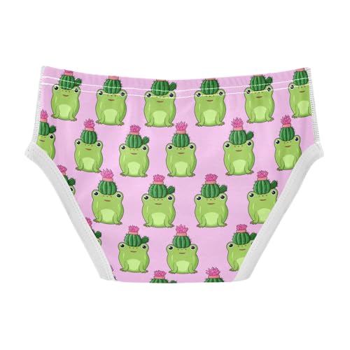 Cute Green Frogs Cactus Pot Toddler Boy's Underwear 2T 202c18042