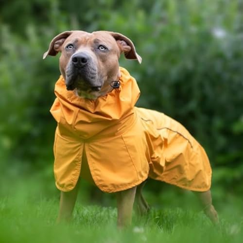 Spark Paws Dog Raincoat, Waterproof Windproof Rain Jacket, for Small Medium Large Extra Large Dogs, Reflective Breathable Full-Body Coverage Dry Suit - Mustard Yellow - 2XL - 4