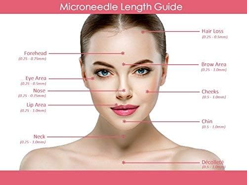 Image of Derma Pen with 2 Extra 12 Needles Cartridges Derma Pen | Mesopen for Anti Aging | Skin Facial Care | Skin Rejuvenation (N2-W WIRELESS)