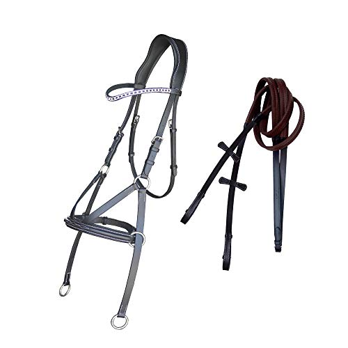 Exion Fancy Quadratische, erhöhte, gebisslose Ledertrense mit Kristalldiamant-Augenbrauenband und Edelstahlschnallen, gepolsterte Zaumzeug für Reitsport, Springen, Reiten, Premium-Zaumzeug