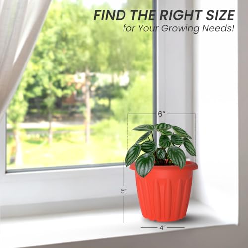 Image of YUCCABE ITALIA SHERA Floot 6 Inch Plastic Flower Pot 6 Piece Set of Round Shape Planter for Home Garden Seedling Planter for pots (Red)
