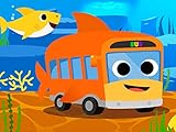 Shark Bus