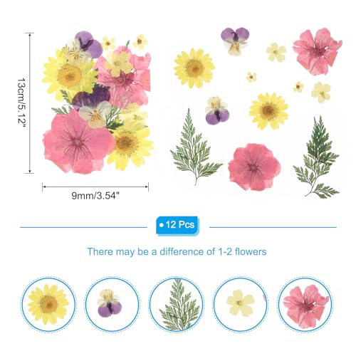 Flores prensadas secas multicolor para manualidades miniatura 2