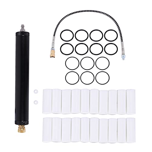 Lenere 1 Juego De Filtro Separador De Aceite Y Agua, Compresor De Aire, Bomba De Alta Presión Para 40 Mpa 300 Bar 4500 Psi, Bomba De Aire PCP, Accesorios