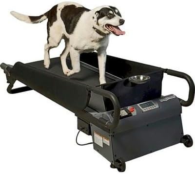PZ-1702K DogTread Medium Dog Treadmill - With K9 Fitness Program
