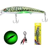 TRUSCEND Electronic Twitching Jerkbait - Robotic Fishing Lures Rechargeable LED Minnow - Bionic...