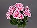 Produktbild Seidenblumen Roß Künstliche Geranie 26cm rosa -ohne Topf- ZF Kunstpflanzen Kunstblumen künstliche Pflanzen Blumen Pelargonium