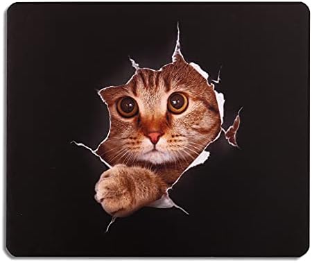 AOKSUNOVA Podkładka pod myszkę kot Mouse Pad zabawna podkładka pod mysz biurowa mała z motywem 240 x 200 mm