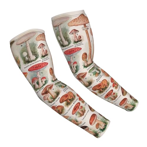 Chioee A[Jo[ uvJbg A[X[u LmRS LmR } ⊴ Ђ O rJo[ Ăh~ fB[X Y  O΍ ʋC  Lk ~ jp EghA X|[c ނ ^] ]ԗp 2