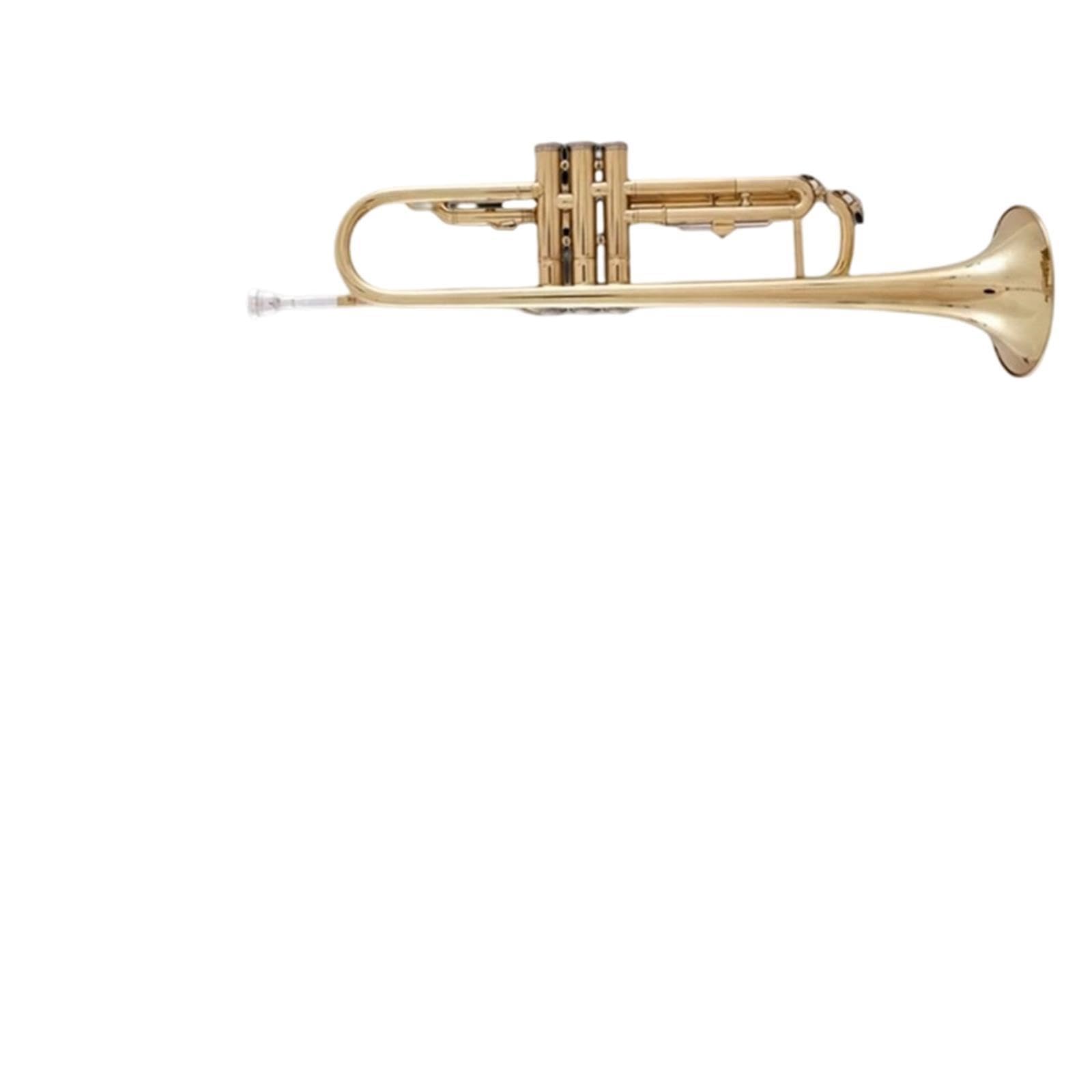 Professional Trumpet trompeta profesional