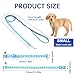 3 Stück Hundehalsband und Leine Set, Welpenhalsbänder mit Leinee, Verstellbares Hundehalsband mit Leine Weich Welpen Schnellverschluss Nylon Haustier Halsband für Kleine Hunde Mittlere