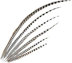 Deitert King Pheasant Feather 1st Choice in Various Lengths 75-90 cm