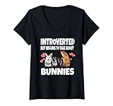 Bunnies Rabbit