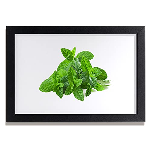 Affiche avec cadre 30x20 cm nature de la menthe et cadre en mdf mural