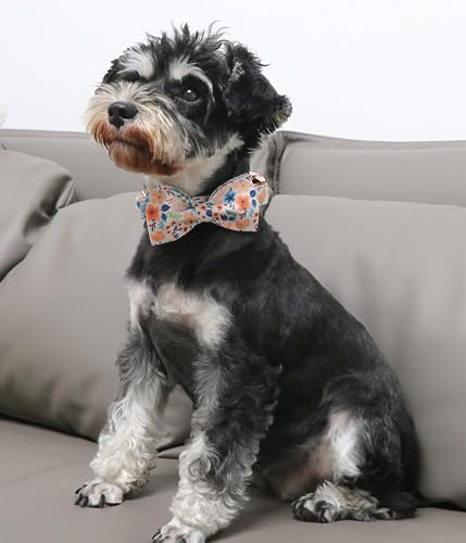 Unique style paws Dog Collar, Peach Flower Dog Collar - Image 4