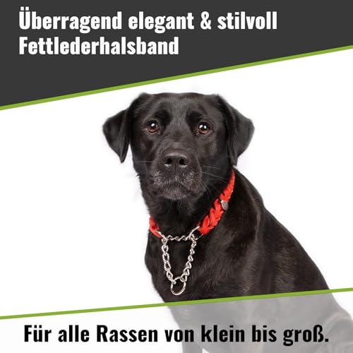 CopcoPet Fettleder Halsband 60–65cm x 25mm Rot – Geflochten mit Zugstopp-Kette – Robust & weich – Verchromte Kette – Lederhalsband für große Hunde, Training & Alltag