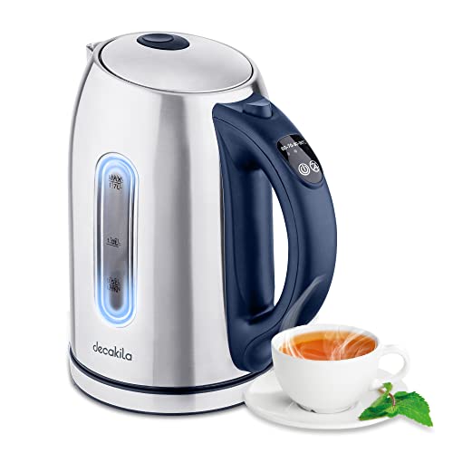 Top 10 Kettles With Temperature Control of 2022 Katynel