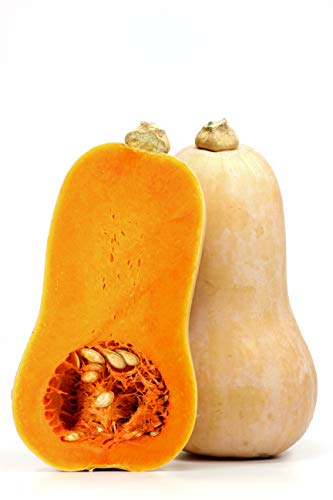 Iya Foods Butternut Squash Powder 1 lb. Non-GMO, Gluten-Free, Grain-Free. Made with 100% Butternut Squash. Made only with one Ingredient i.e. Butternut Squash. Plant-Based, Non-GMO, Gluten-Free. - Thumbnail 3