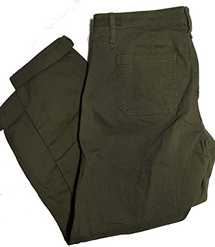 Jone New York Chino Pants (4, Rustic Olive)