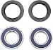 2003-2010 Kawasaki ZX600 (ZX-6R) Motorcycle Front Wheel Bearing and Seal Kit