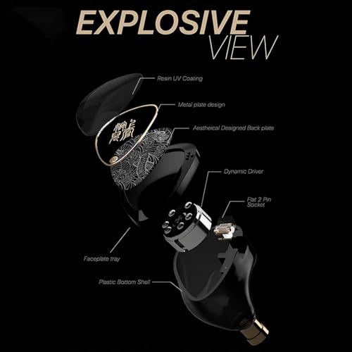 Image of Tangzu Wan'er S.G 2 Wired IEM Earphone with Mic, 10mm PET Diaphragm Dynamic Driver In-Ear Monitor earbuds with Ergonomic Resin Housing, Detachable 0.78mm 2-Pin Silver-Plated (White, Type-C, Mic)
