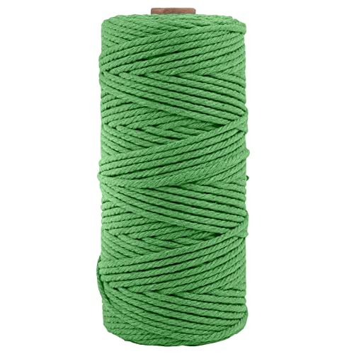 Image of ecofynd 50 Meters Shamrock Green Colour Cotton Cord, Colour Dori for Wall Hanging Plant Hanging Craft Making, Natural Thread Rope for Handmade Plant Hanger (Cord-SGN)