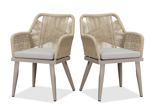 PURPLE LEAF 2 Pieces Outdoor Patio Dining Chairs All-Weather PE Rattan Patio Furniture with All Aluminum Frame for Lawn Garden Backyard Deck, Champagne