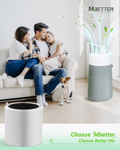 Image of 2 Pack Blue Pure 311i+ Max Smokeblock Filter Replacement Compatible with Blue Pure 311i+ Max Air Puri-fier, Activated Carbon Filters