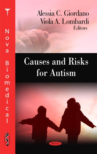 Causes and Risks for Autism view 2