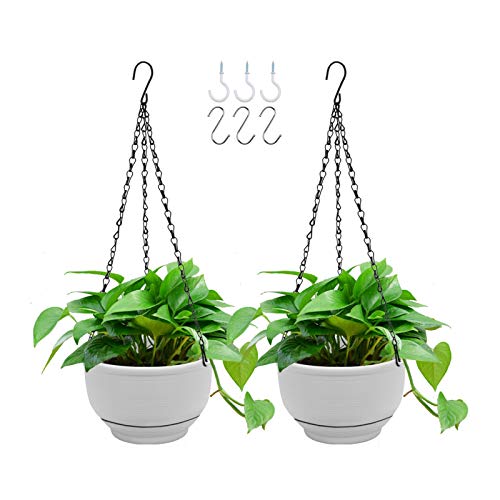 GROWNEER 2 Packs 8 Inches Plastic Hanging Planter Self Watering Basket with 6 Pcs Hooks, Hanging Flower Pot with Detachable Base for Garden Indoor Outdoor Home Decoration (Grey)