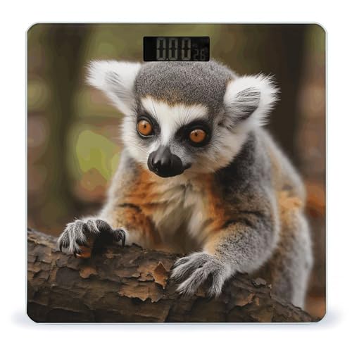 Báscula Digital de Baño Monkey Lemur 26x26 cm Vidrio Templado miniatura 1