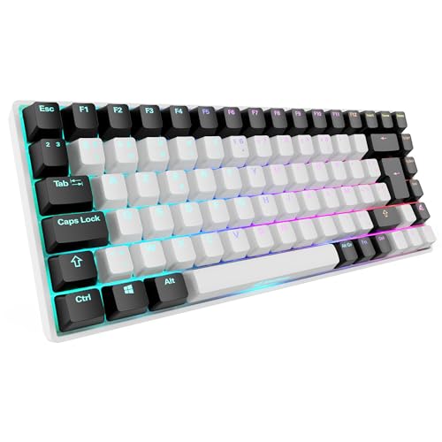 Sharkoon Skiller Sgk50 S3 Tastatur Gaming Usb Qwerty Portuguesisch Wei? (4044951039708)